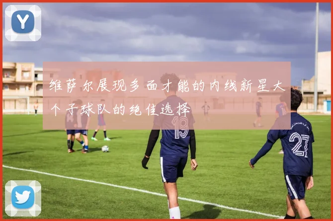 维萨尔展现多面才能的内线新星大个子球队的绝佳选择