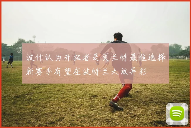 波什认为开拓者是莫兰特最佳选择新赛季有望在波特兰大放异彩